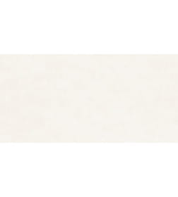 Керамогранит  глаз,матовый Berlin 600*1200x8.5, GFU60120BLN04R