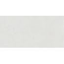 Керамогранит  глаз,матовый Berlin 600*1200x8.5, GFU60120BLN07R (GFU60120BLN07R) 