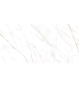 Керамогранит  глаз,матовый Neo Calacatta 600*1200x8.5, GFU60120NCL04R