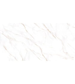 Керамогранит  глаз,матовый Neo Calacatta 600*1200x8.5, GFU60120NCL04R