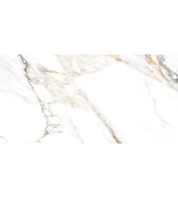 Керамогранит  глаз,матовый Trendy 600*1200x8.5, GFU60120TRD04R