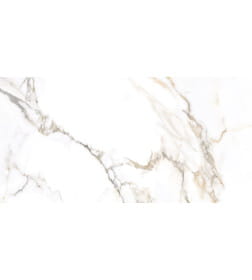 Керамогранит  глаз,матовый Trendy 600*1200x8.5, GFU60120TRD04R