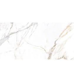 Керамогранит  глаз,матовый Trendy 600*1200x8.5, GFU60120TRD04R