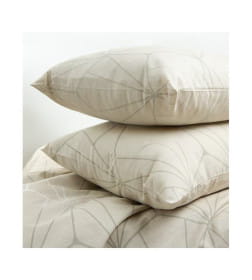 Комплект постельного белья "Дуэт"50х70, арт.41272/0/ 637702/592641 К 