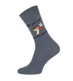 Носки мужские 2146 Брестские February 23 (средней длины), р. 27 рис.603  СЕРЫЙ