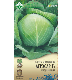 Капуста б/к Агрессор F1 12шт (Эксперт) (семена)