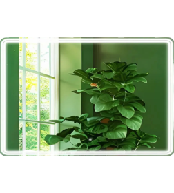 Зеркало Дабл-Ю Мельбурн 100х80 с подсветкой