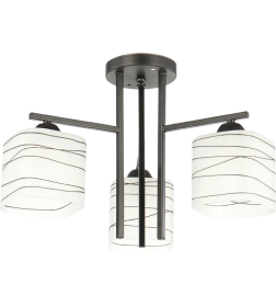 Светильник НПБ 02-3х60-101 6246/3 черный