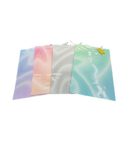 Пакет подарочный 30*41,5*12 Микс