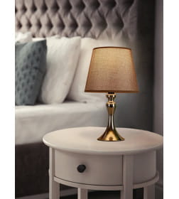 Светильник настольный ННБ 04-40-171 19955