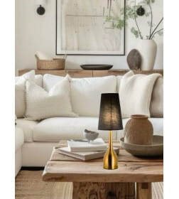 Светильник настольный ННБ 04-40-171 A19506