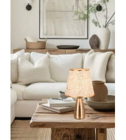 Светильник настольный ННБ 04-40-171 A199293