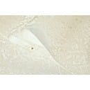 Обои Grandeco Chic R212031 (R212031) 