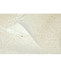 Обои Grandeco Chic R212031