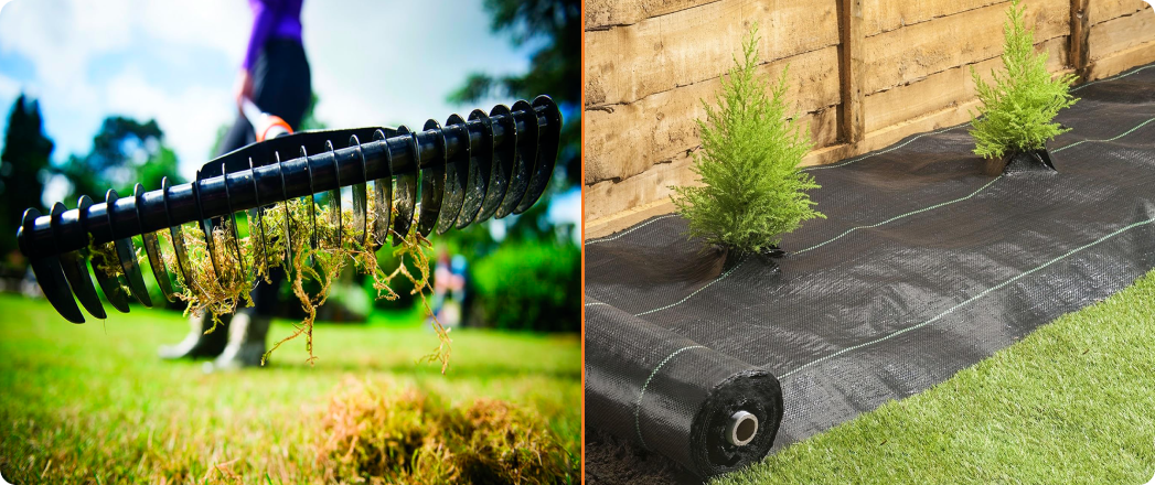 Обработка газона и утепление многолетников