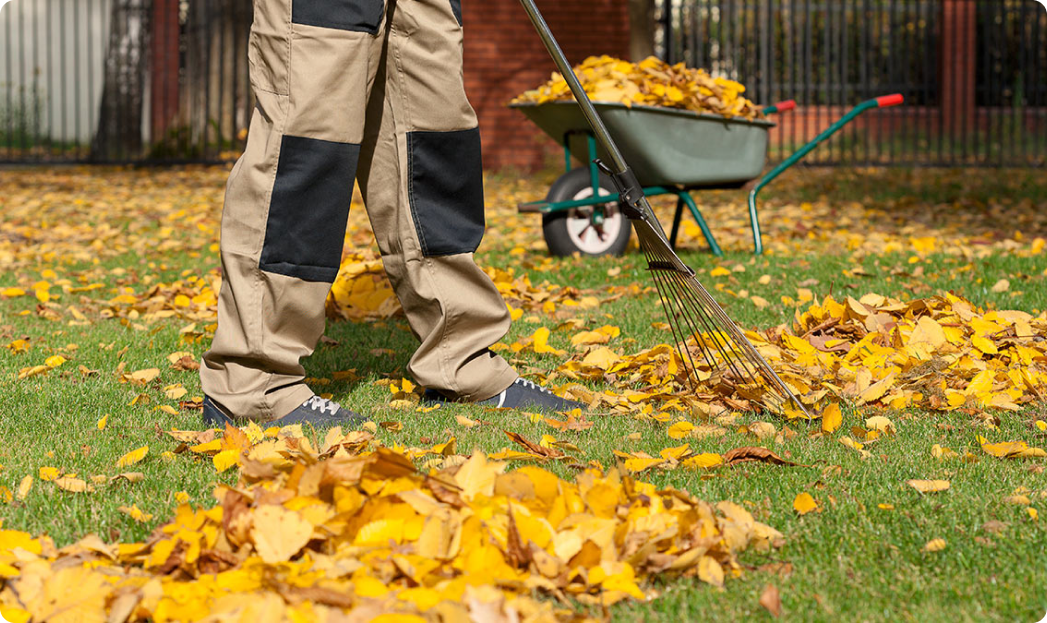 Подготовка сада осенью - это не только про уборку листьев