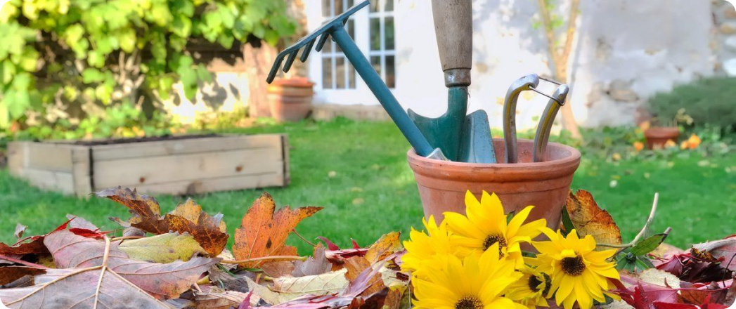 Готовим участок к осени: что нужно успеть сделать до наступления холодов